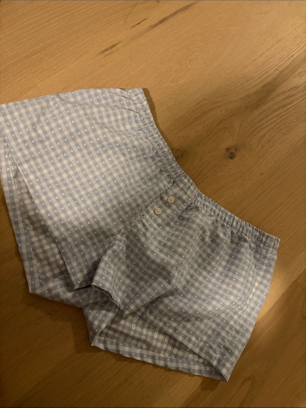 Brandy Melville Light Blue and White Gingham Shorts